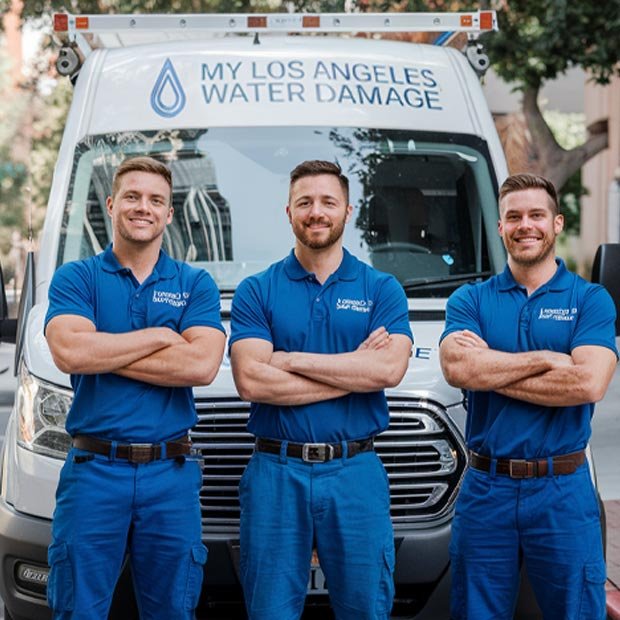 Los Angeles Mold Remediation