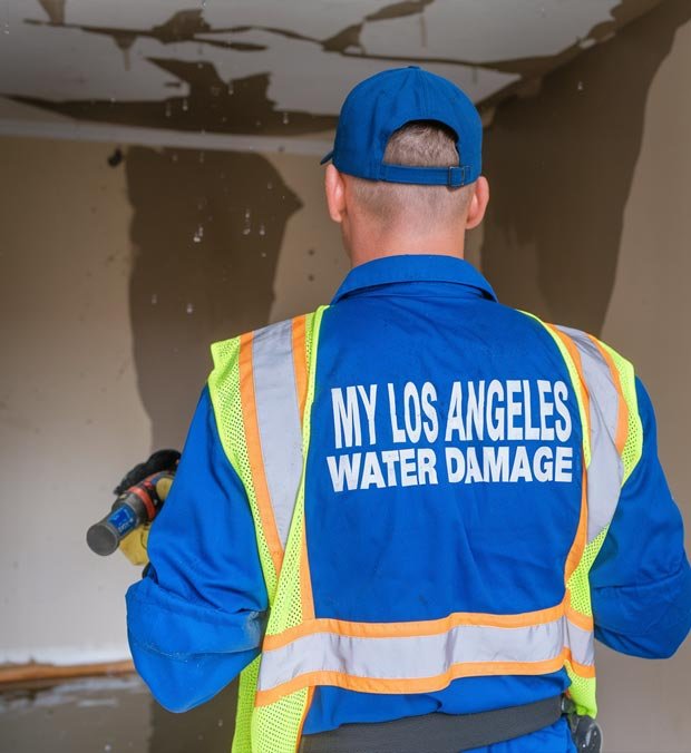 Los Angeles Mold Remediation